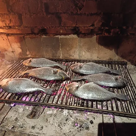 Daire Marta - Free Parking! Split