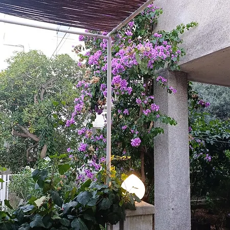 Daire Marta - Free Parking! *