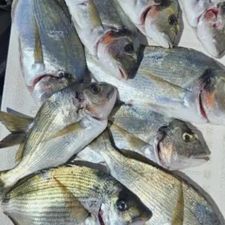 Marta - Free Parking! Apartmán