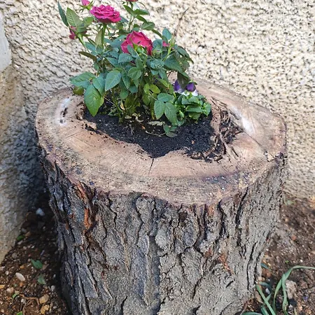 Marta - Free Parking!