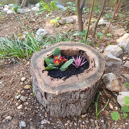 Marta - Free Parking! Split