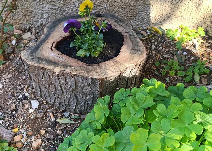 Apartment Marta - Free Parking! *