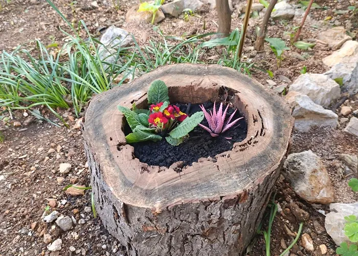 Marta - Free Parking! Split