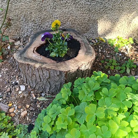 Lägenhet Marta - Free Parking! *