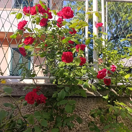 Marta - Free Parking! Lägenhet *