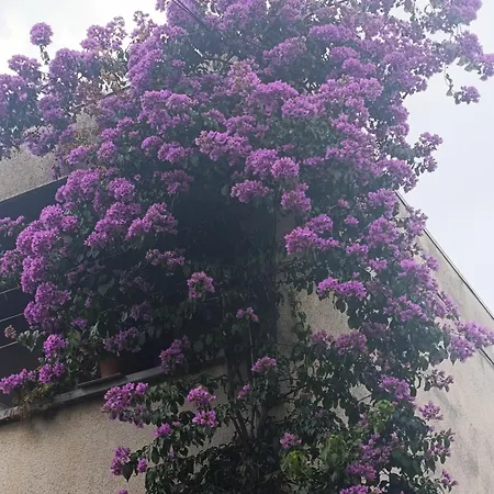 Lägenhet Marta - Free Parking! *