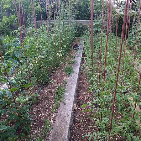 Marta - Free Parking! * Split